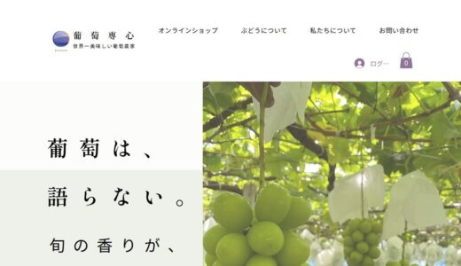 クイーンニーナやマスカットノワールのギフトに｜山梨・笛吹の葡萄農家 葡萄専心