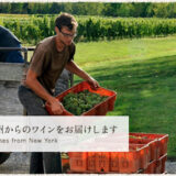 GO-TO WINE