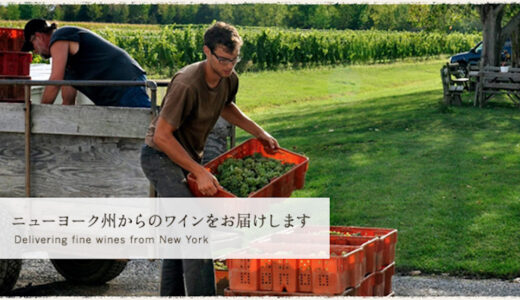バランスよし、香りよし、料理との相性よし！「GO-TO WINE」で最高の一本を