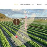 淡路島のシャーロットオニオンを通販で｜甘く苦くない玉ねぎを追求するHope Will淡路島