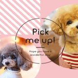 ペット服なら「Pick me up!」