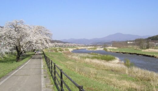 どぶろくや岩手の魅力が詰まった地酒販売の佐々木酒店！甘酒とワインもおすすめ！