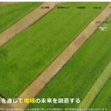 新米の通販を農家直送で選ぶなら｜広島県世羅町で米づくりを続ける農事組合法人すなだ