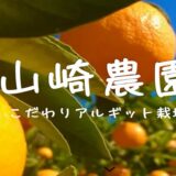 有田みかんとデコポンが人気の「山崎農園」