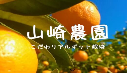 甘い有田みかんやデコポンが買えるおすすめの通販サイト「山崎農園」