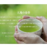 ギフトにおすすめ！お茶の通販なら善光園